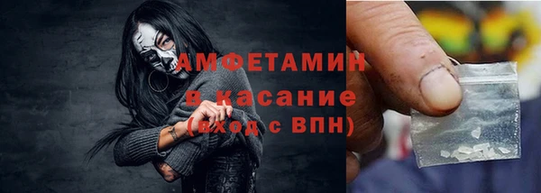 индика Алзамай