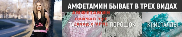 индика Алзамай