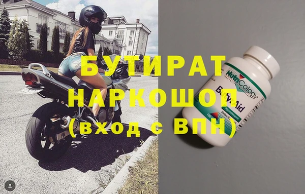 индика Алзамай