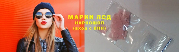 индика Алзамай