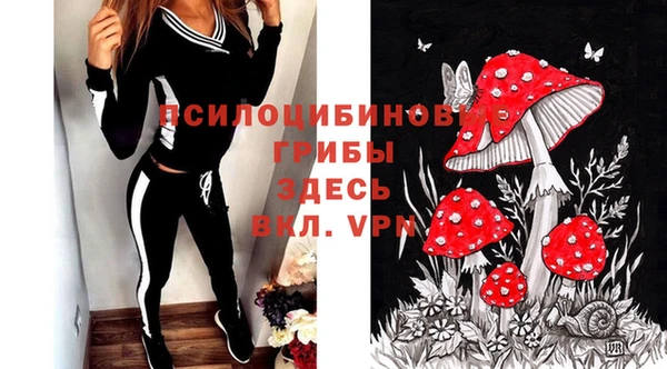 индика Алзамай
